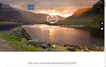 Aglee Pro (screenshot desktop)