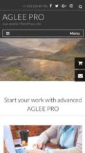 Aglee Pro (screenshot mobile)
