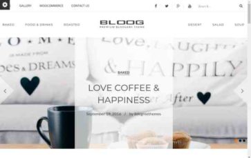 Bloog Pro (screenshot desktop)