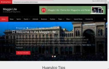 Maggie Lite (screenshot desktop)
