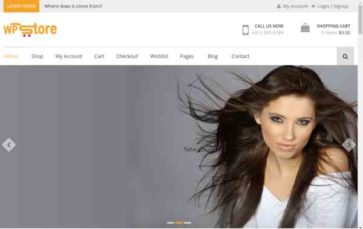 WP Store (8Degree Themes) - (screenshot desktop)
