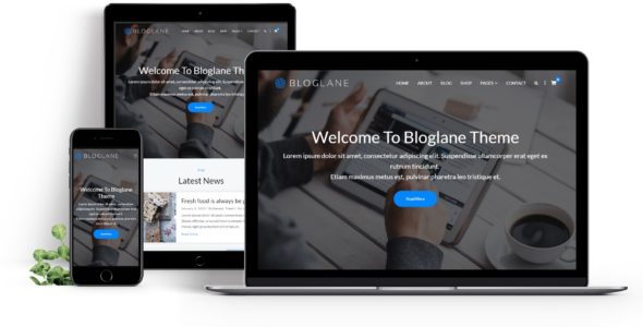 Bloglane Pro (A WP Life)