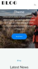 Bloglane Pro (screenshot mobile)