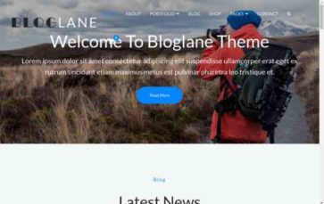 Bloglane (screenshot desktop)