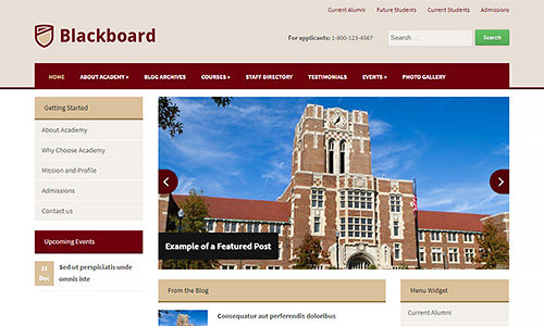 Blackboard (AcademiaThemes)