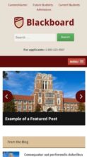 Blackboard (AcademiaThemes) - (screenshot mobile)