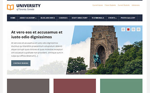 Lectura Lite (AcademiaThemes)