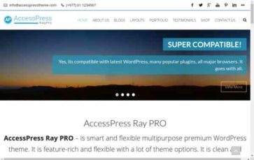 AccessPress Ray Pro (screenshot desktop)