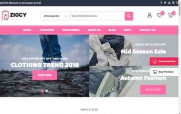 Zigcy Baby (screenshot desktop)