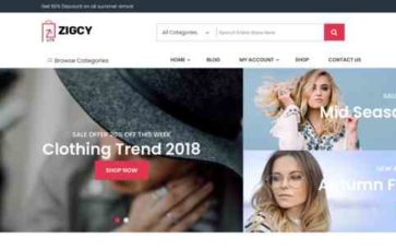 Zigcy Lite (screenshot desktop)