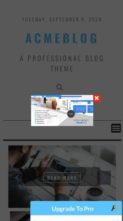 AcmeBlog (screenshot mobile)