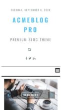 AcmeBlogPro (screenshot mobile)