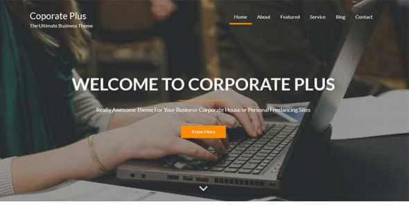 Corporate Plus (Acme Themes)