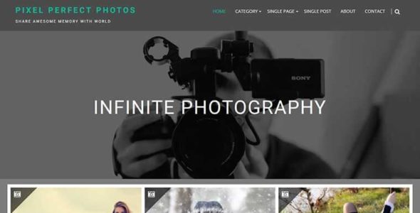 Infinite Photography (Acme Themes)