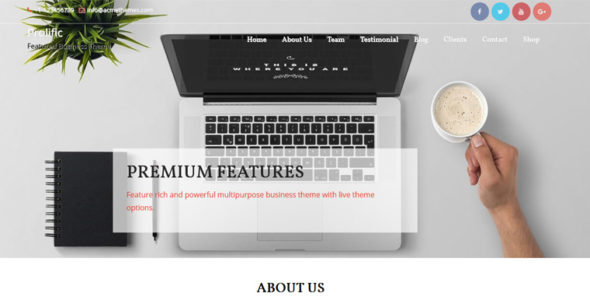 Prolific (Acme Themes)