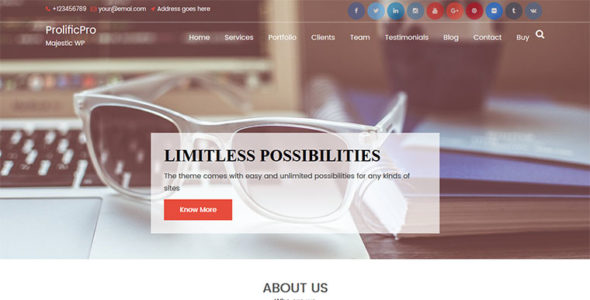 ProlificPro (Acme Themes)