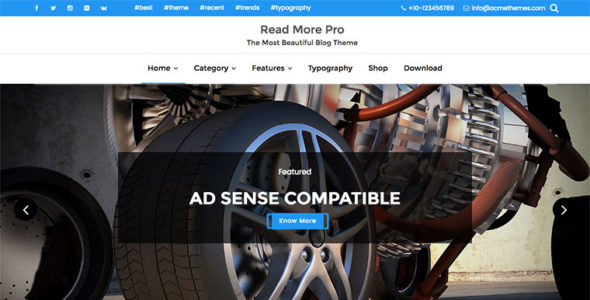 Read More Pro (Acme Themes)
