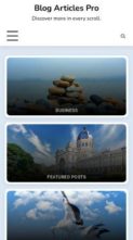 Blog Articles Pro (screenshot mobile)