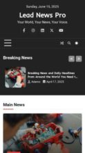 Lead News Pro (screenshot mobile)