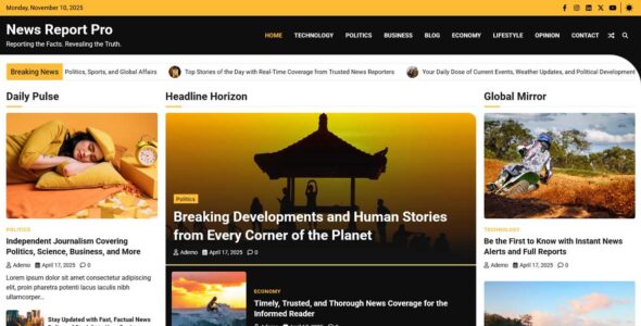 News Report Pro (Adore Themes)