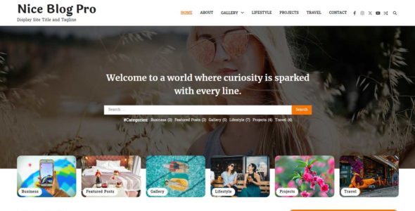 Nice Blog Pro (Adore Themes)