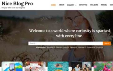 Nice Blog Pro (screenshot desktop)