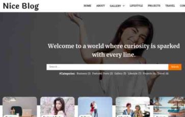 Nice Blog (screenshot desktop)