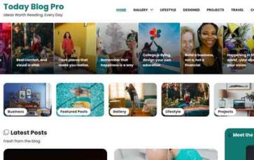 Today Blog Pro (screenshot desktop)