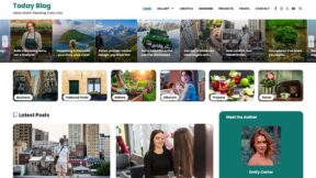 Today Blog (Adore Themes)