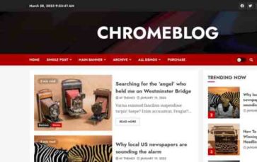 ChromeBlog (screenshot desktop)