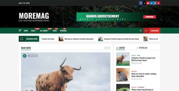 MoreMag (AF themes)