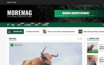 MoreMag (screenshot desktop)