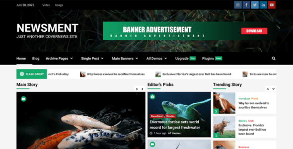 Newsment (AF themes)
