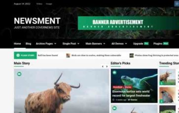 Newsment (screenshot desktop)