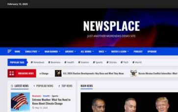 NewsPlace (AF Themes) (screenshot desktop)