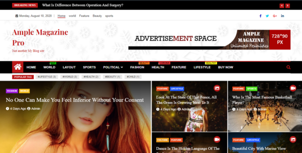 Ample Magazine Pro (Ample Themes)