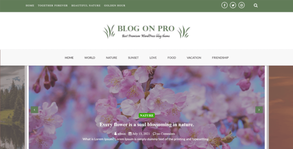 Blog On Pro (Ample Themes)