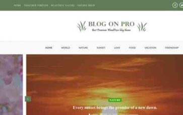 Blog On Pro (screenshot desktop)