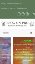 Blog On Pro (screenshot mobile)