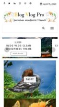 Blog Vlog Pro (screenshot mobile)