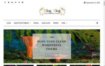 Blog Vlog (screenshot desktop)