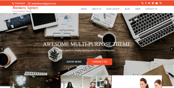 Business Agency (Ample Themes)