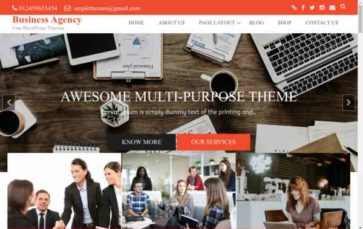 Business Agency (screenshot desktop)