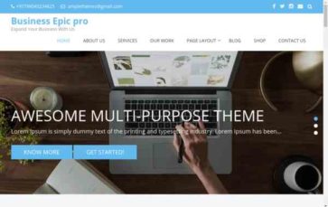 Business Epic Pro (screenshot desktop)