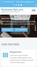 Business Epic Pro (screenshot mobile)