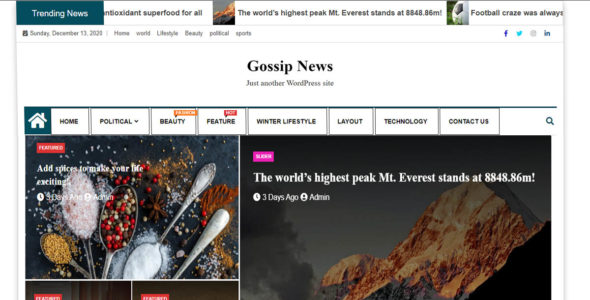 Gossip News (Ample Themes)
