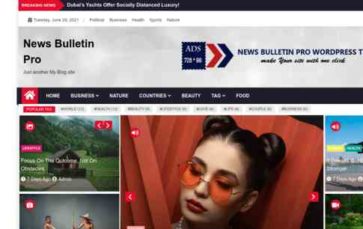 News Bulletin Pro (screenshot desktop)