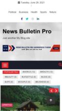 News Bulletin Pro (screenshot mobile)