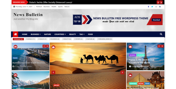 News Bulletin (Ample Themes)
