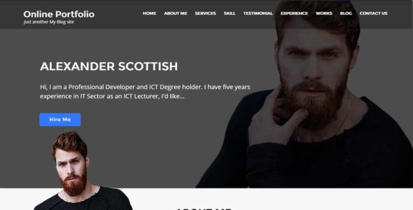 Online Portfolio (Ample Themes)